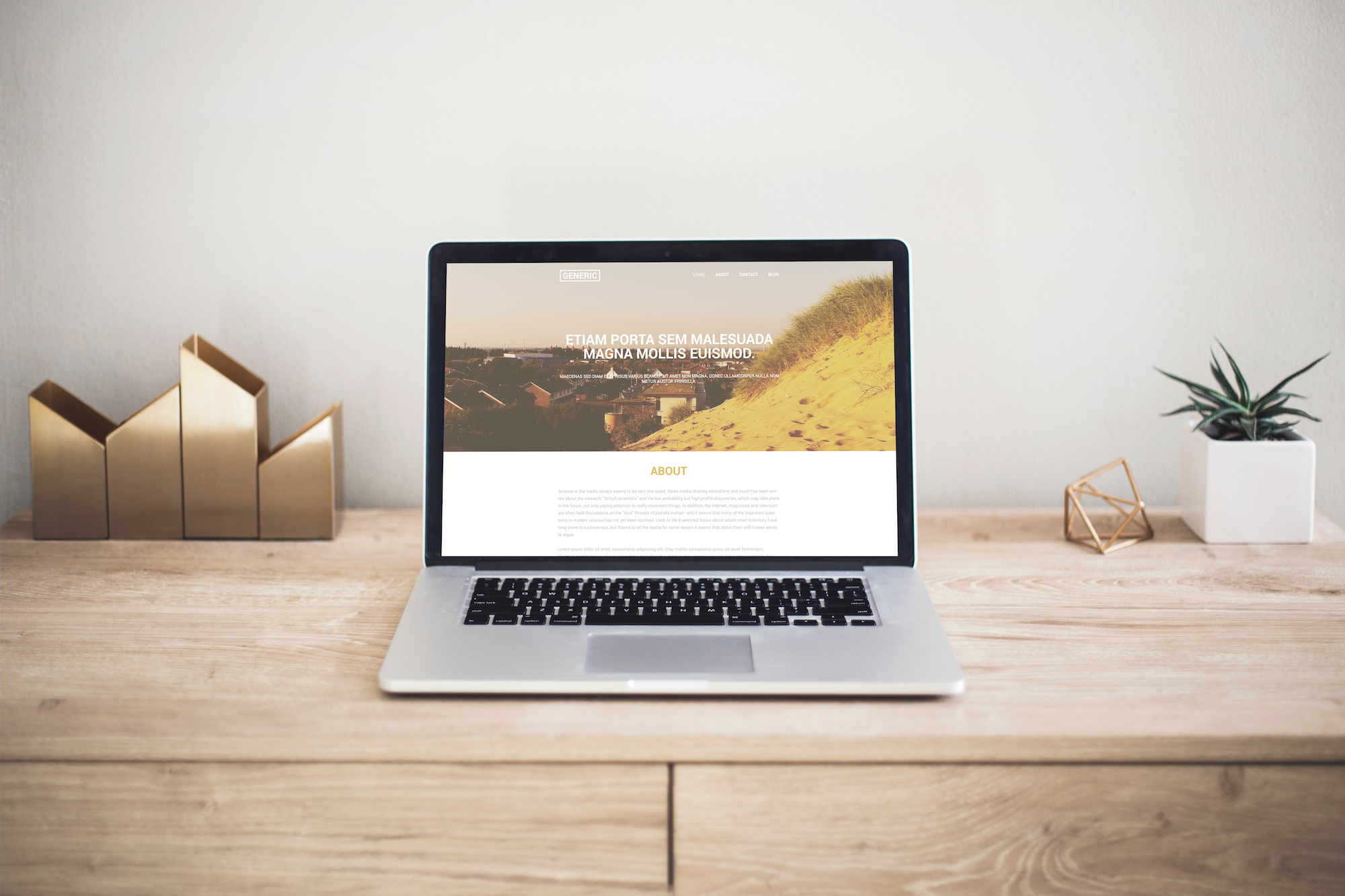 Generic website template on macbook